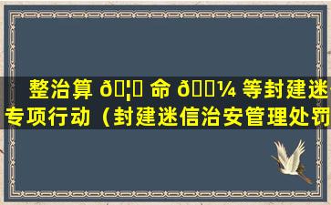 整治算 🦄 命 🌼 等封建迷信专项行动（封建迷信治安管理处罚法）